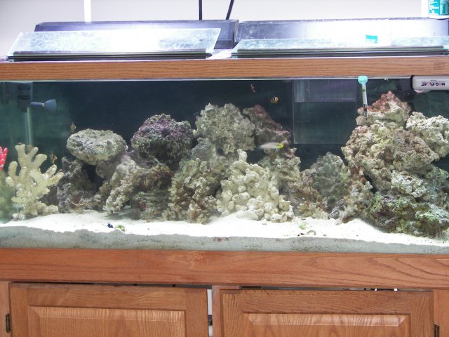 100_0415.JPG
