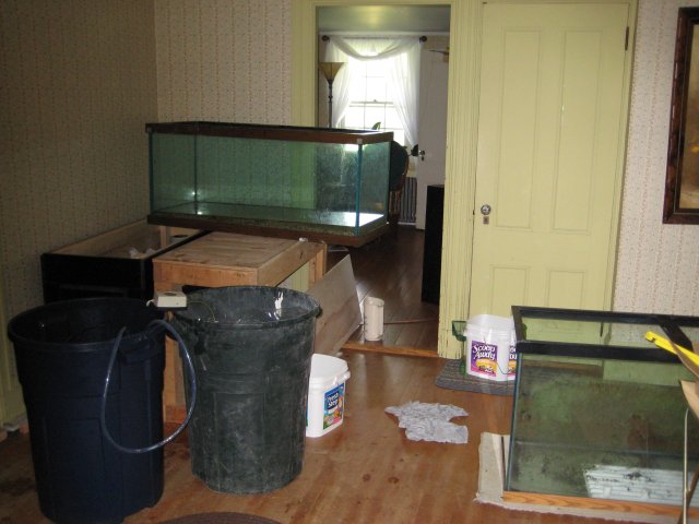 Tank Install 001.jpg