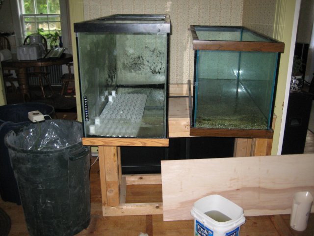 Tank Install 002.jpg