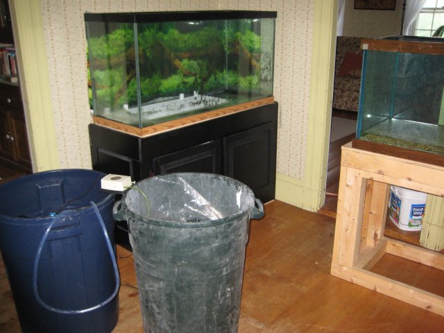 Tank Install 003.jpg Tank Install 003.jpg
