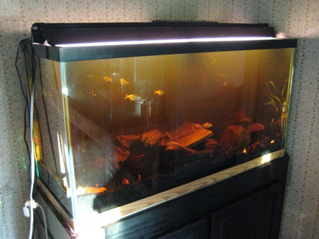 Tank Install 015.jpg