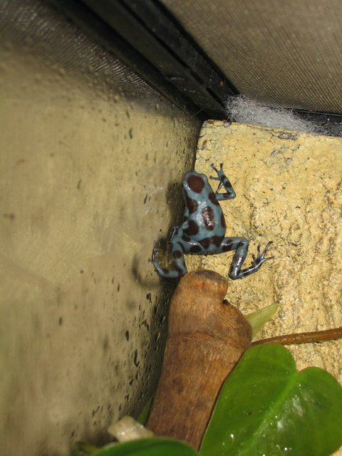 IMG_5926.JPG