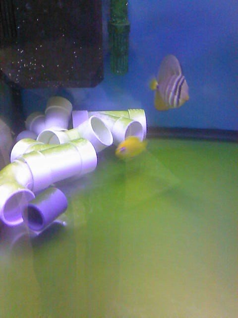 Photo-0006_002.jpg Photo-0006_002.jpg