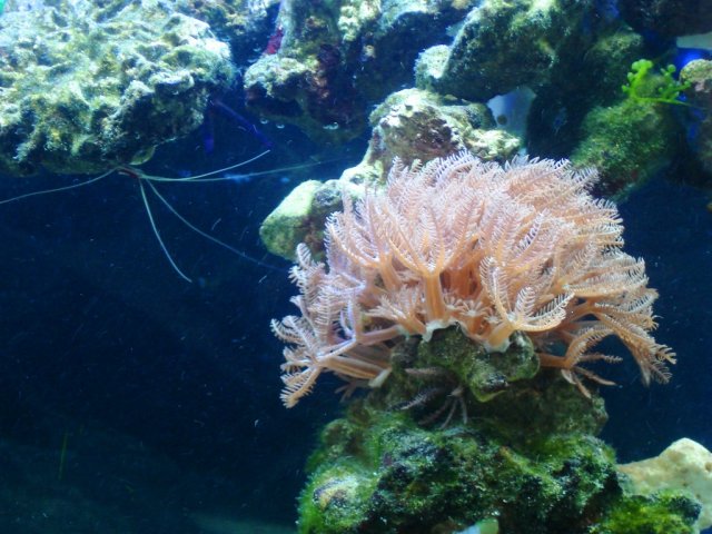 DSC04884.JPG
