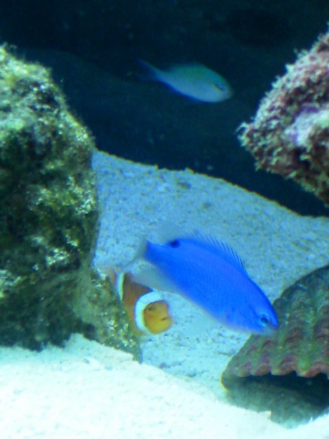 DSC04887.JPG