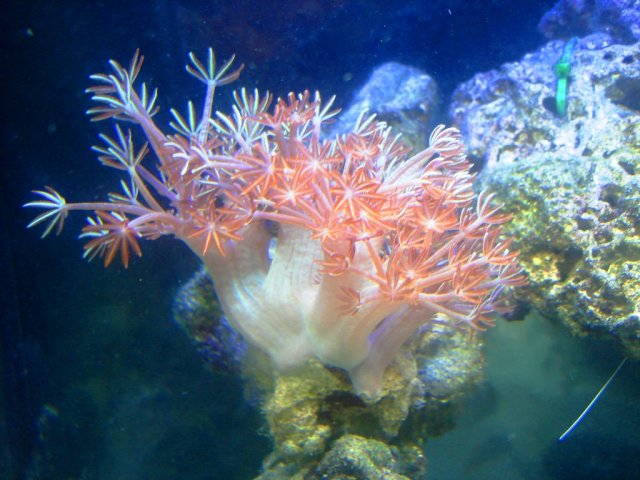 DSC04890.JPG