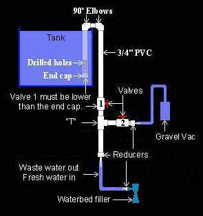 water change - vac1.jpg