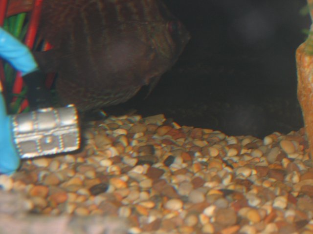 IMG_1037.jpg