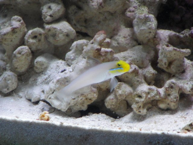 100_0458.JPG
