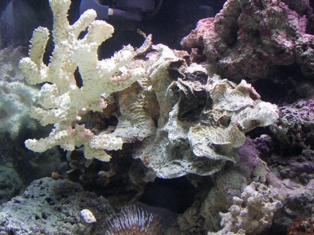 100_0449.JPG