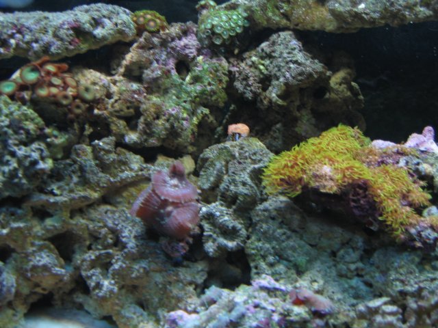 IMG_1055.JPG