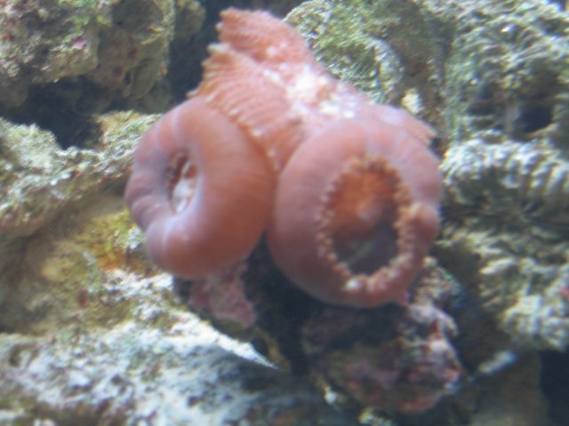 IMG_1045.JPG