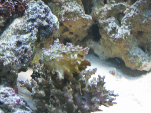 IMG_1077.JPG