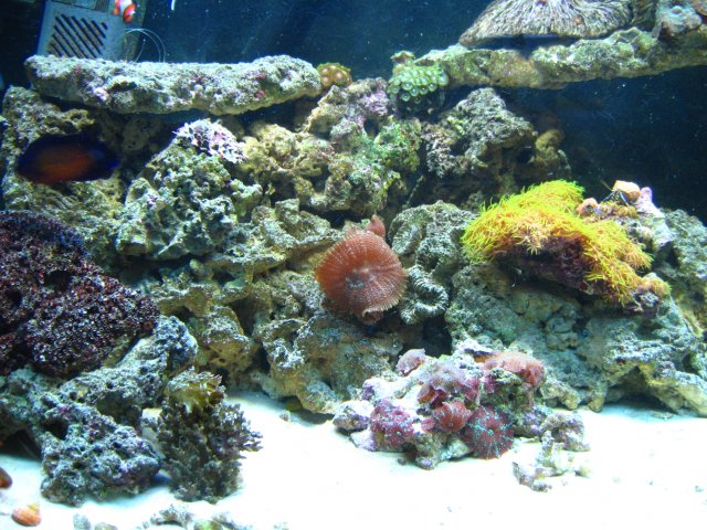 IMG_1104.JPG