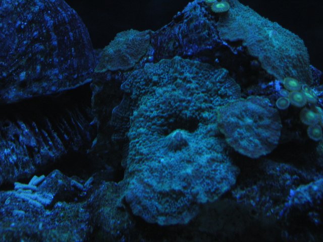 IMG_1069.JPG