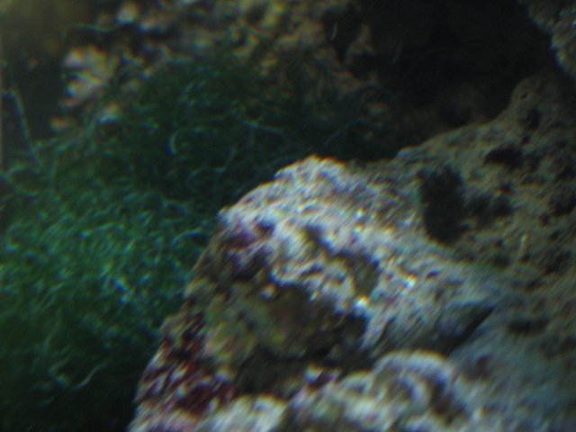 IMG_1084.JPG