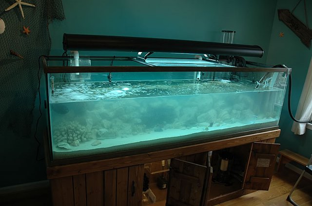 tank-fill-1.jpg