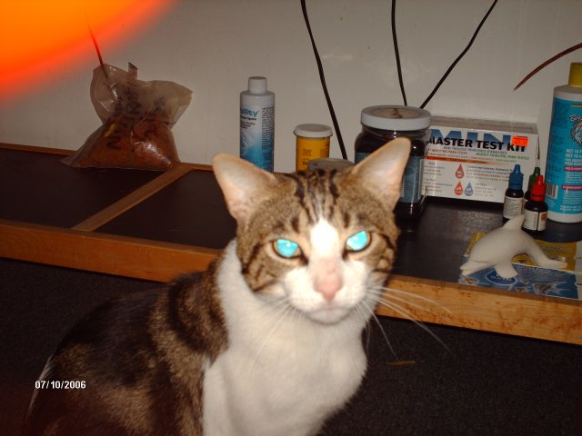 aquarium2 001.jpg