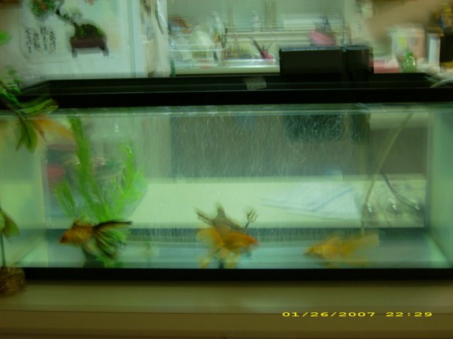 DSCI0395.jpg