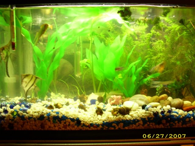 aquarium002.jpg