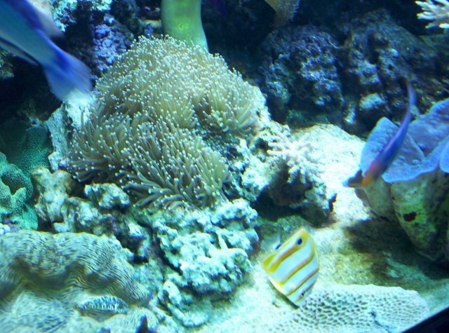 100_2641.jpg