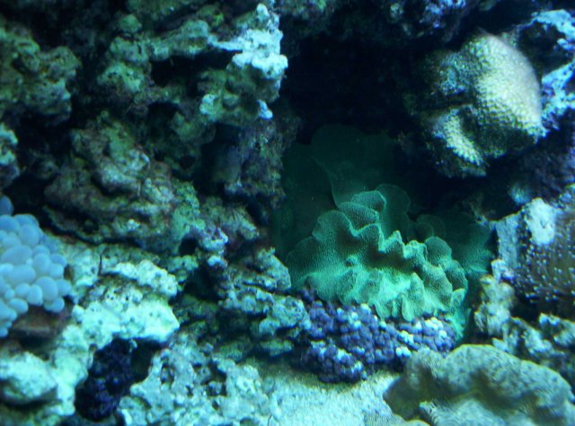 100_2640.jpg