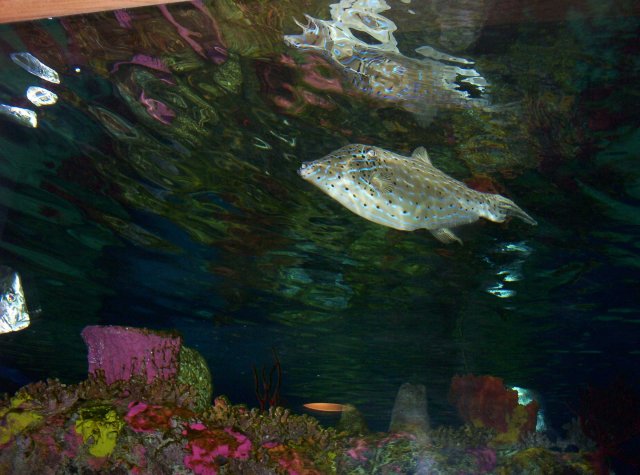 100_2600.jpg