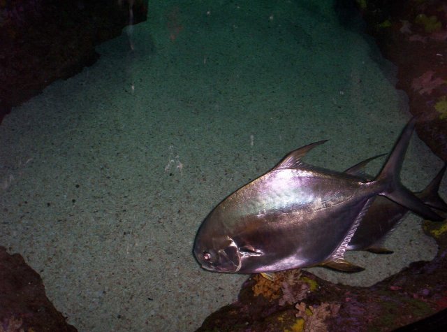 100_2594.jpg