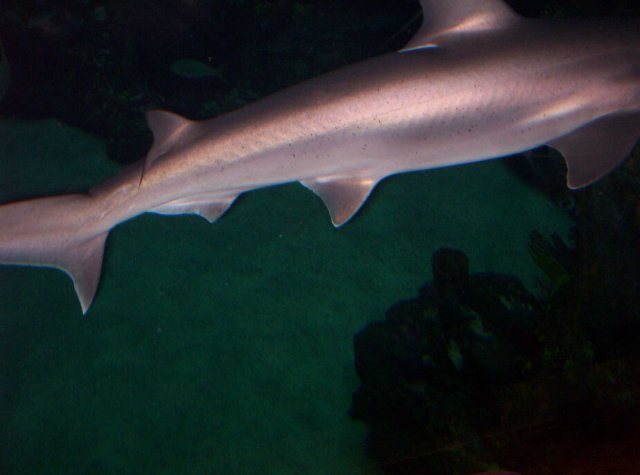 100_2589.jpg