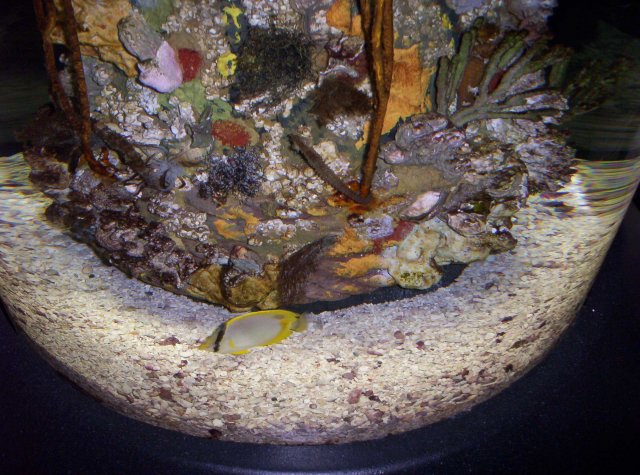 100_2586.jpg