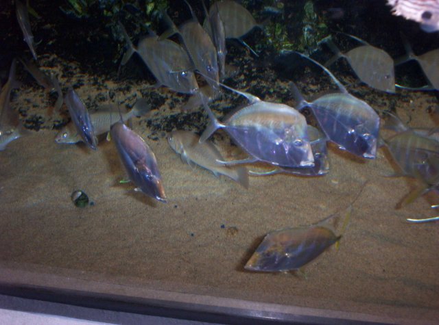 100_2573.jpg