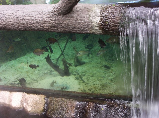 100_2565.jpg