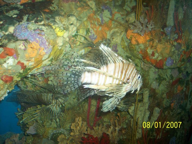100_1815.jpg