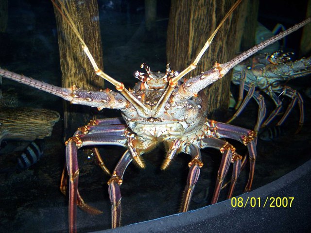 100_1806.jpg