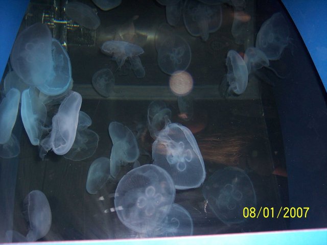 100_1798.jpg