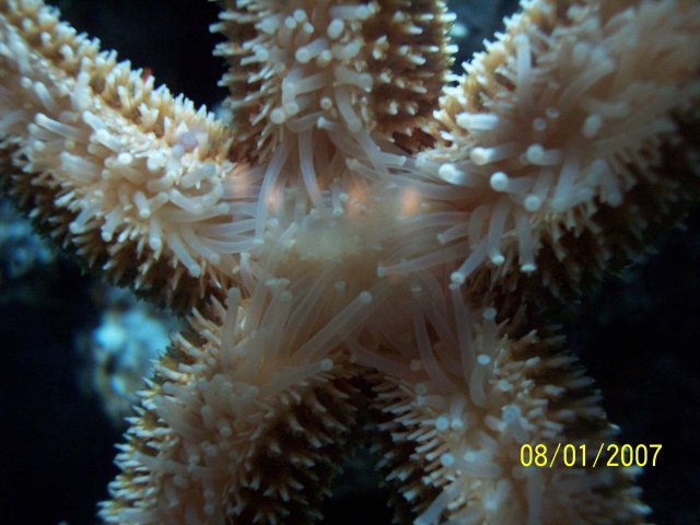 100_1796.jpg