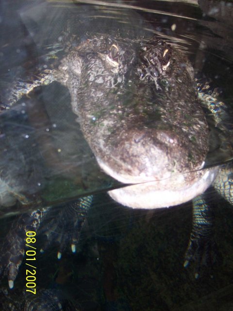 100_1754.jpg