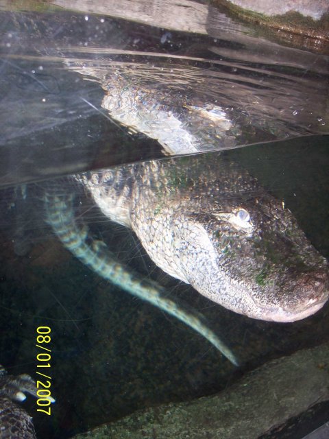 100_1753.jpg