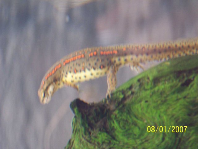 100_1748.jpg