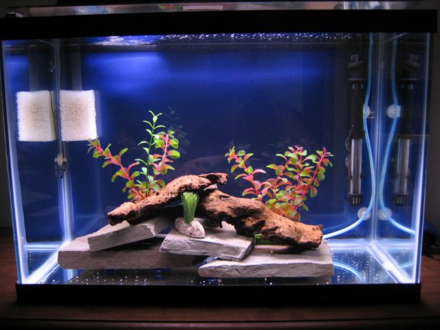Picture 001.jpg