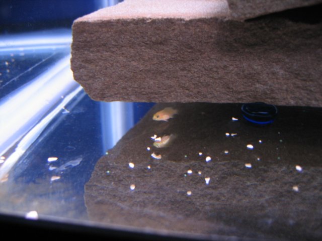Picture 004.jpg