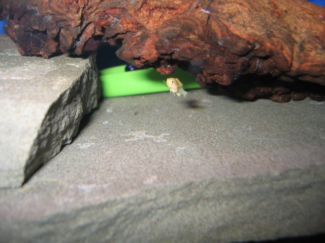Picture 009.jpg