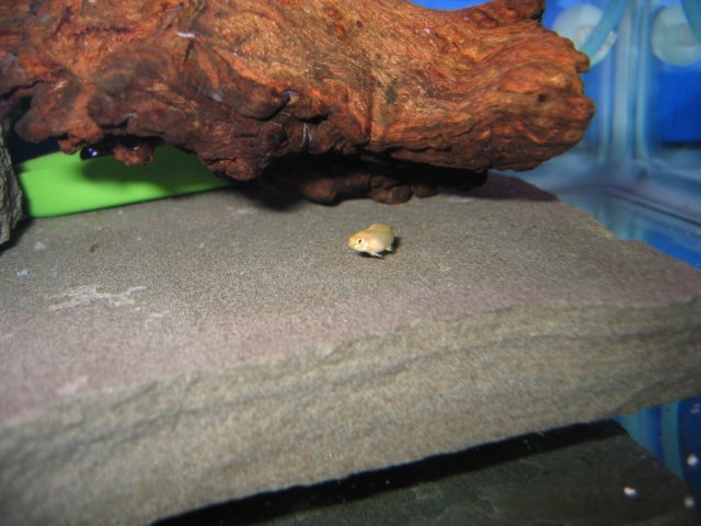 Picture 014.jpg