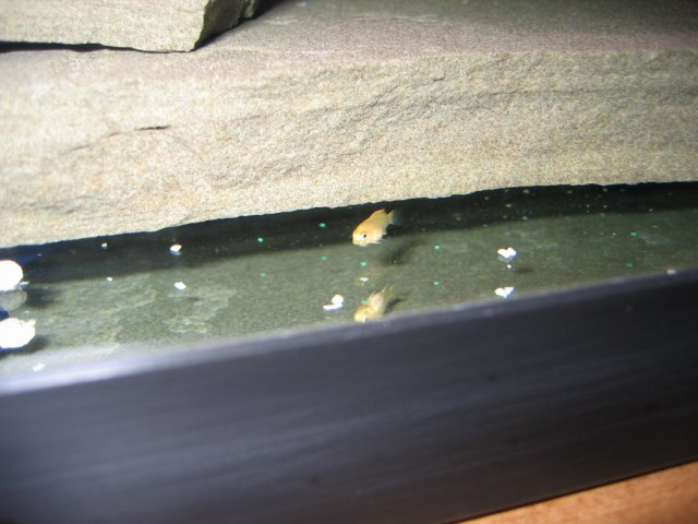 Picture 015.jpg