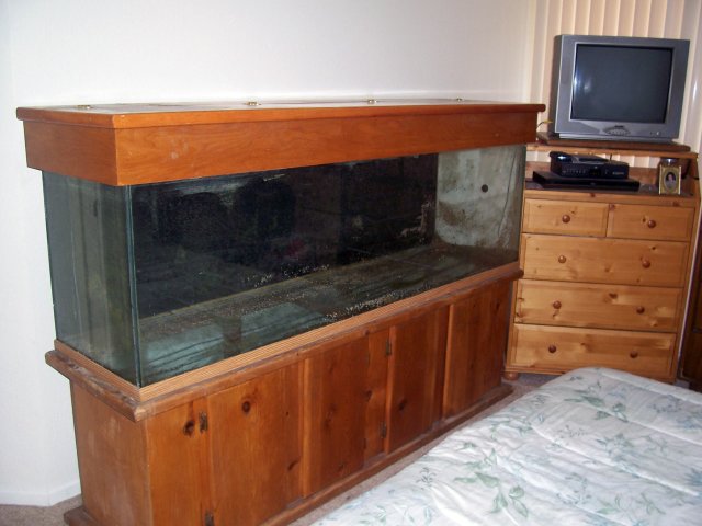 tank full front corrected.jpg