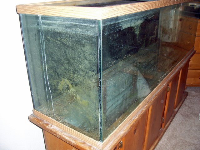 tank angle corrected.jpg