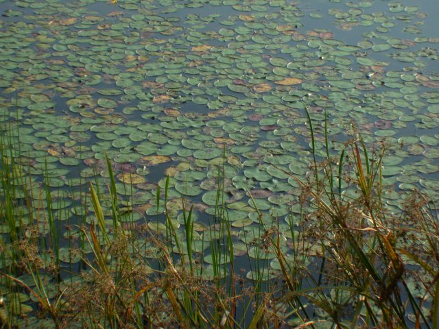 DSCN6174.JPG