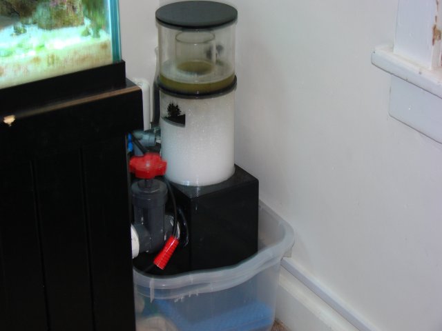 DSC00463.JPG