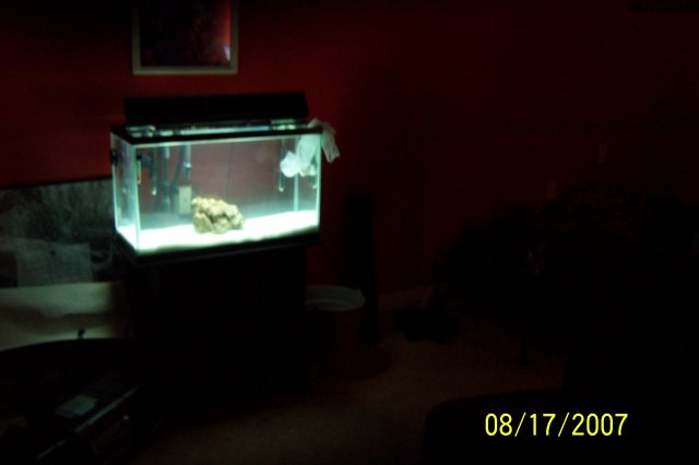 SW aquarium 009.JPG