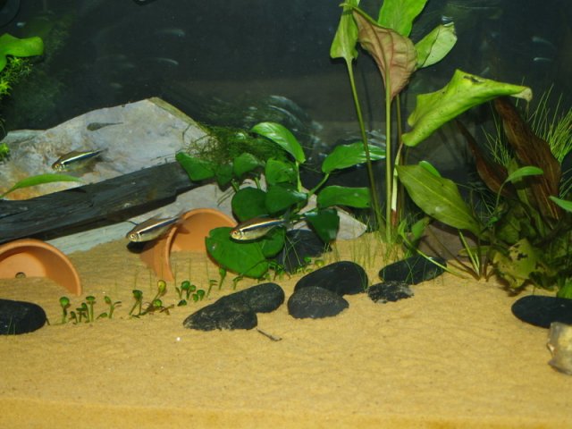 P1010521.jpg P1010521.jpg